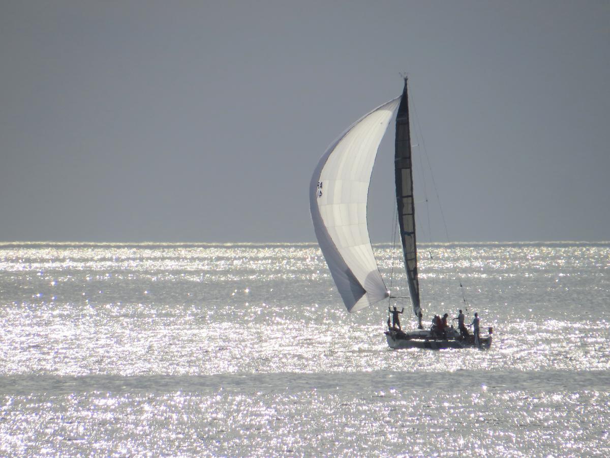 Los Sargos Punta del Este Exterior foto